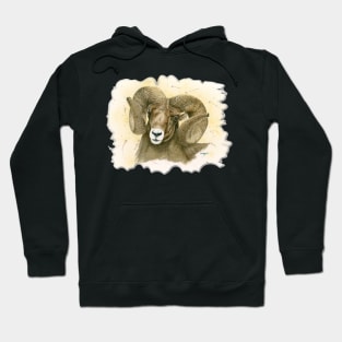 Bighorn Hoodie